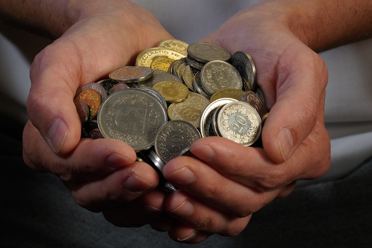 mince v hrsti